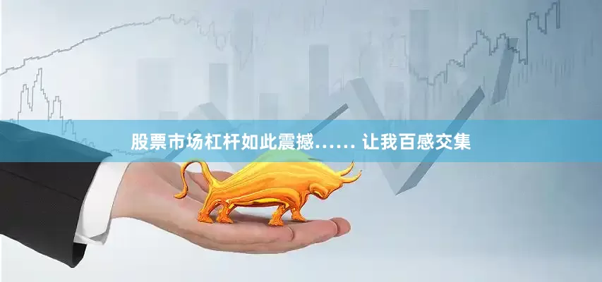 股票市场杠杆如此震撼…… 让我百感交集