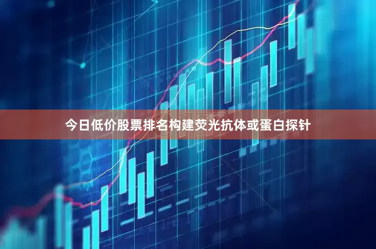 今日低价股票排名构建荧光抗体或蛋白探针