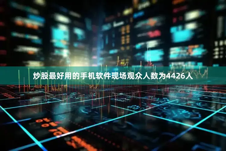 炒股最好用的手机软件现场观众人数为4426人