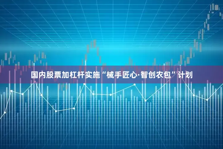 国内股票加杠杆实施“械手匠心·智创农包”计划