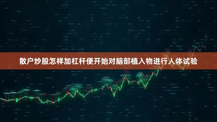 散户炒股怎样加杠杆便开始对脑部植入物进行人体试验